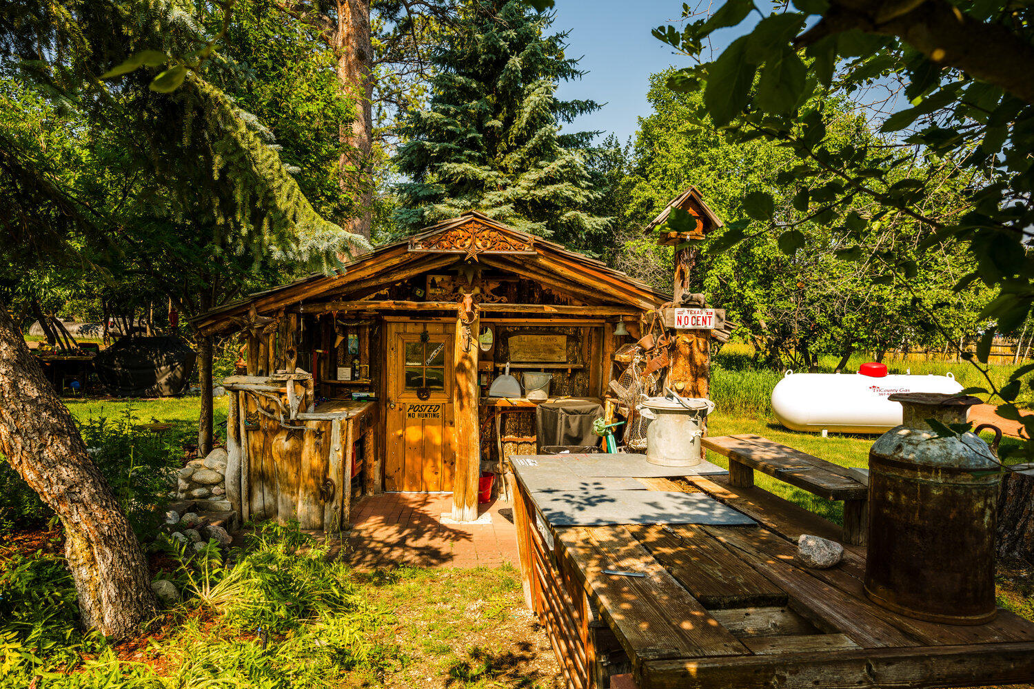 21 North Piney Road Story, WY 82842 - Photo 8 of 55 006_dsc_9160_539