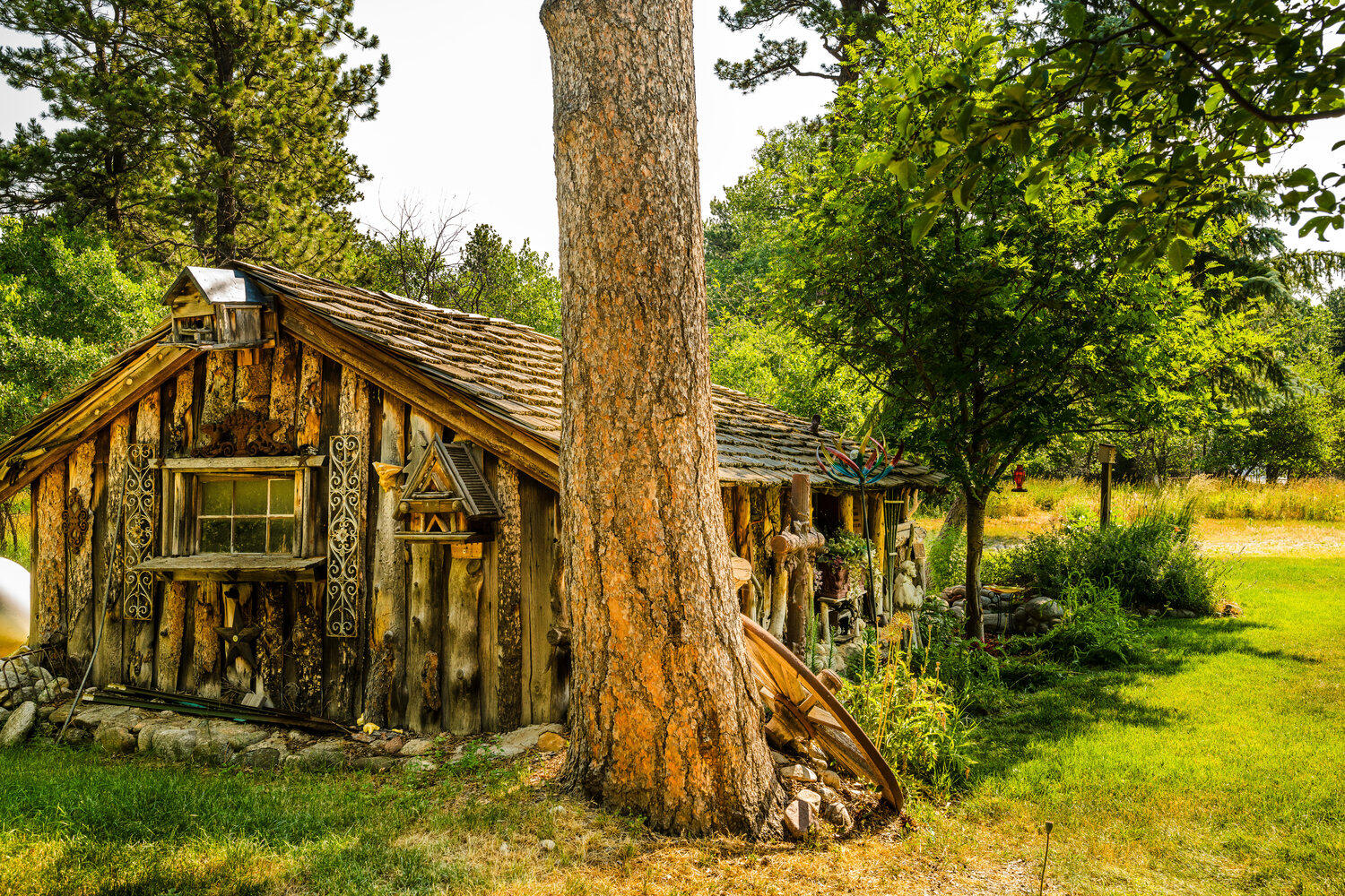 21 North Piney Road Story, WY 82842 - Photo 10 of 55 015_dsc_9169_141