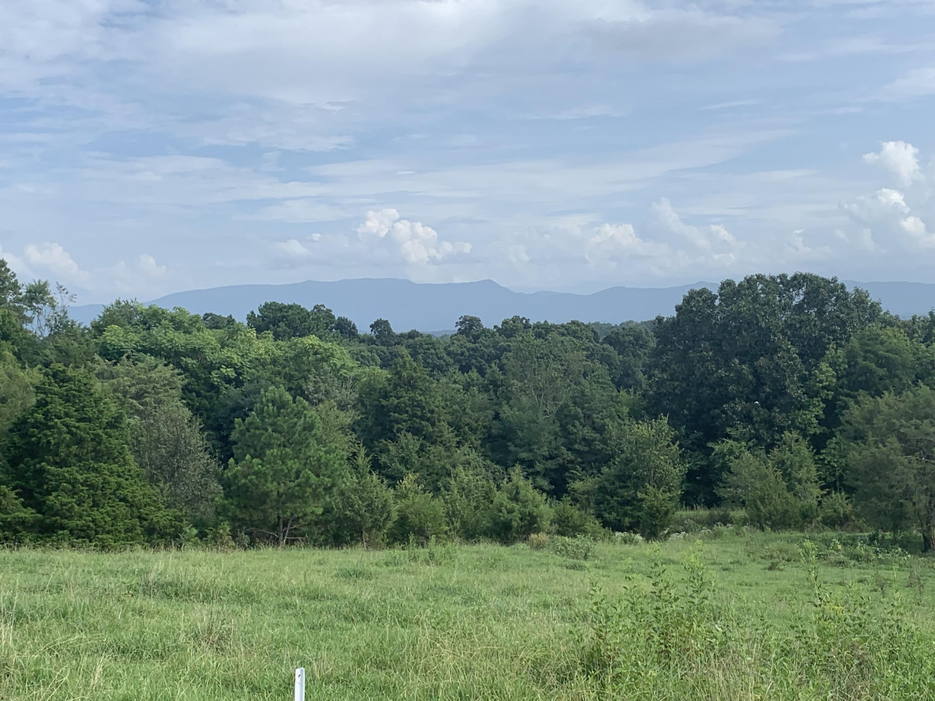 Gaut Road Dandridge, TN 37725 - Photo 1 of 6 IMG_0657