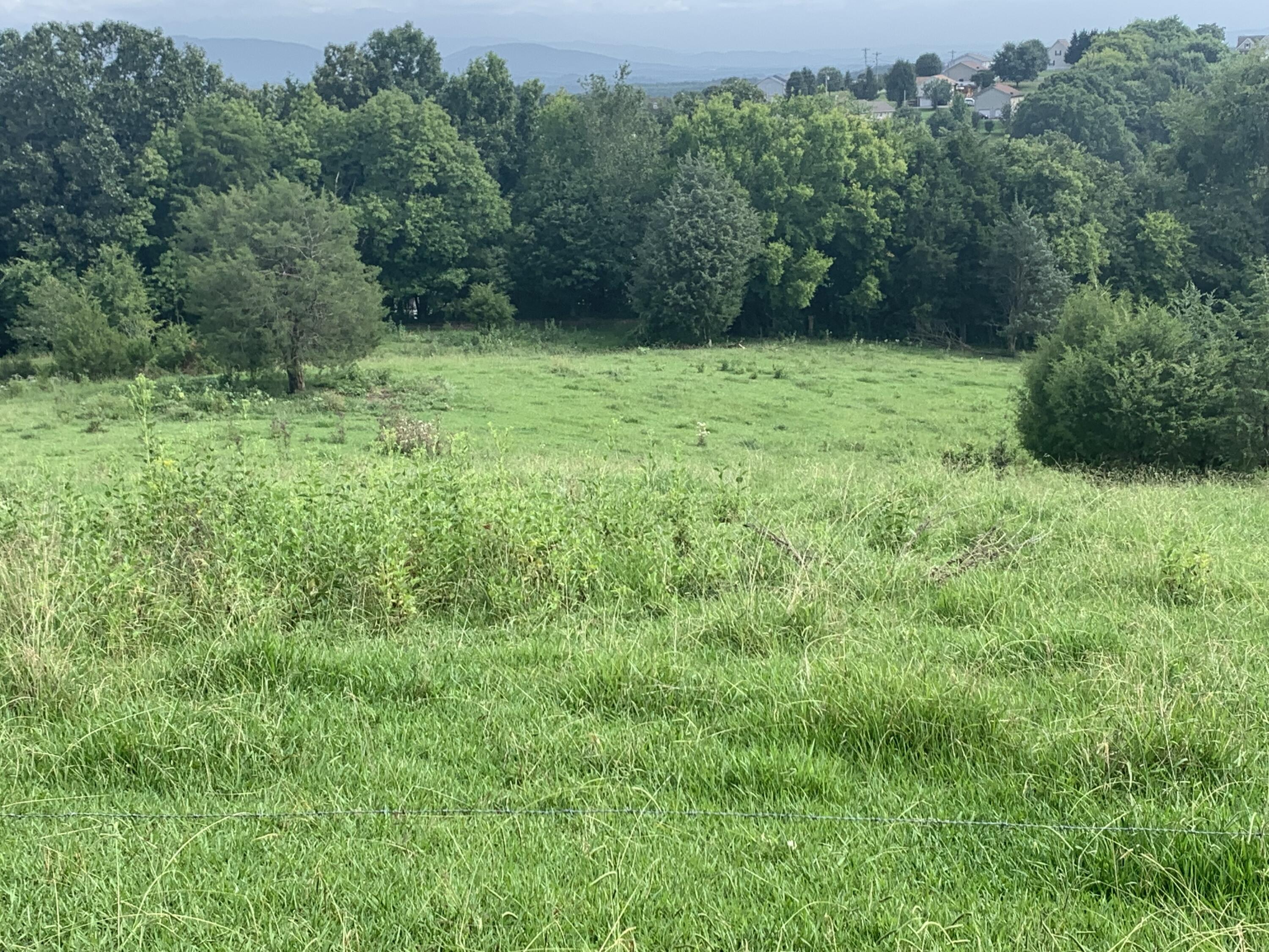 Gaut Road Dandridge, TN 37725 - Photo 2 of 6 IMG_0658