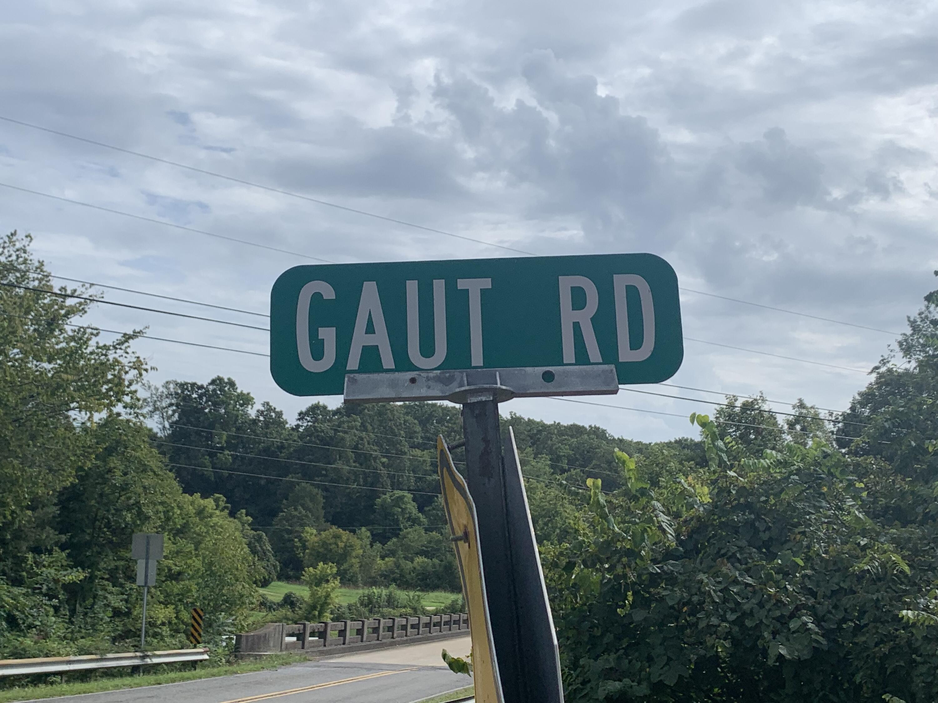 Gaut Road Dandridge, TN 37725 - Photo 4 of 6 IMG_0654