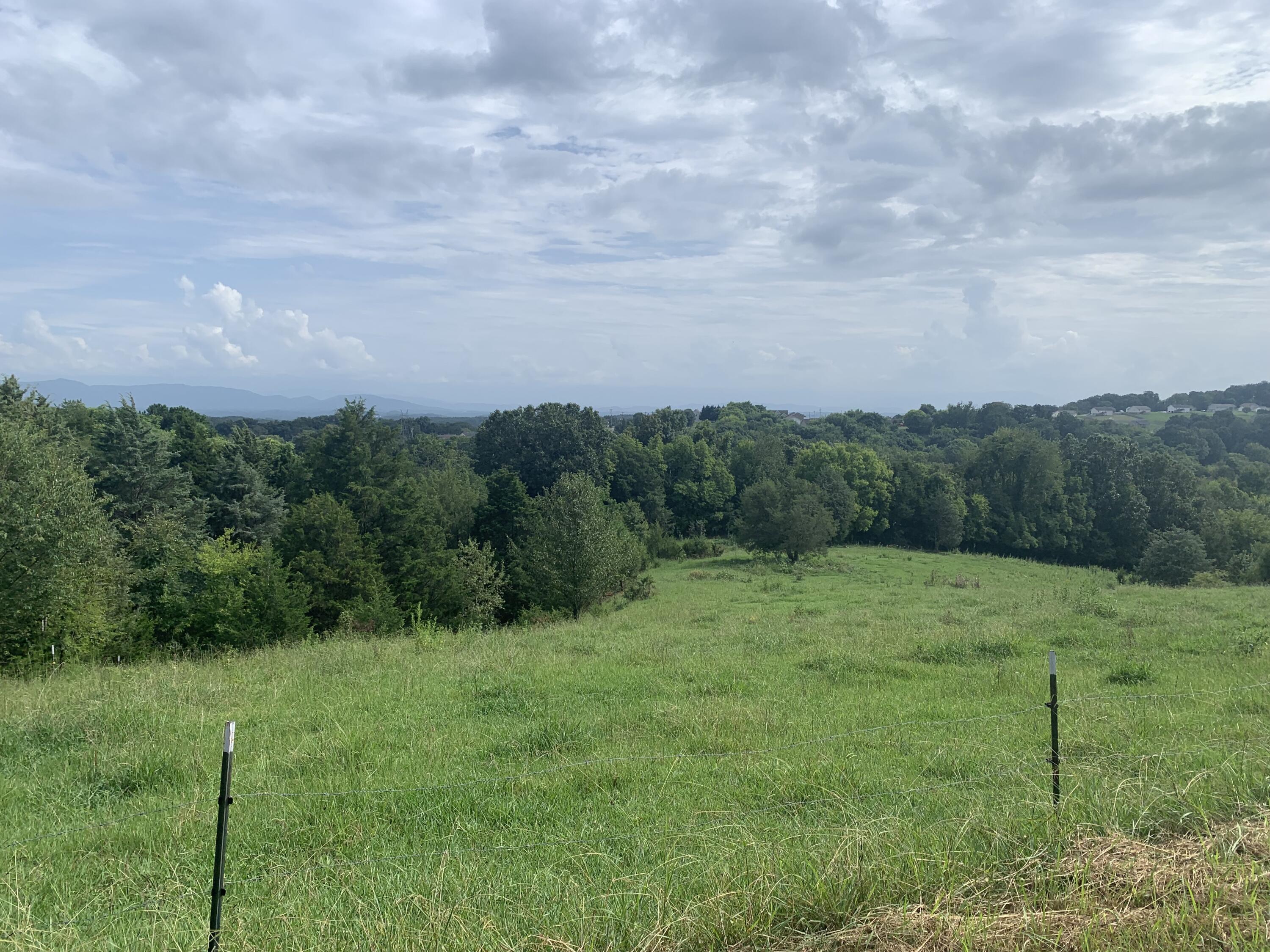 Gaut Road Dandridge, TN 37725 - Photo 5 of 6 IMG_0655