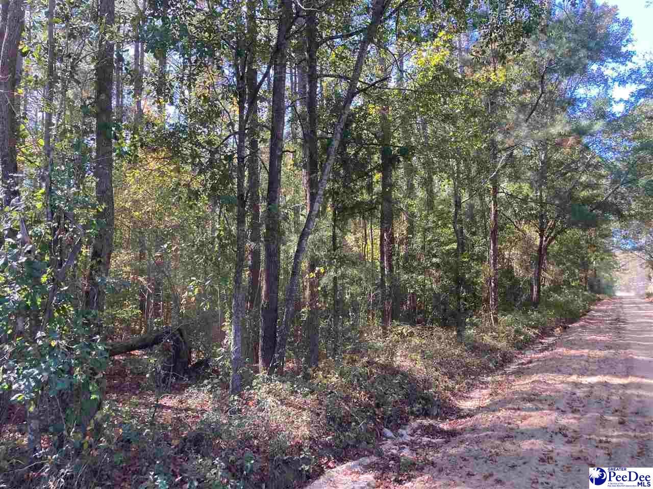 Tbd Old Kemper Road Lake View, SC 29563 - Photo 3 of 6 Gallery Image 3