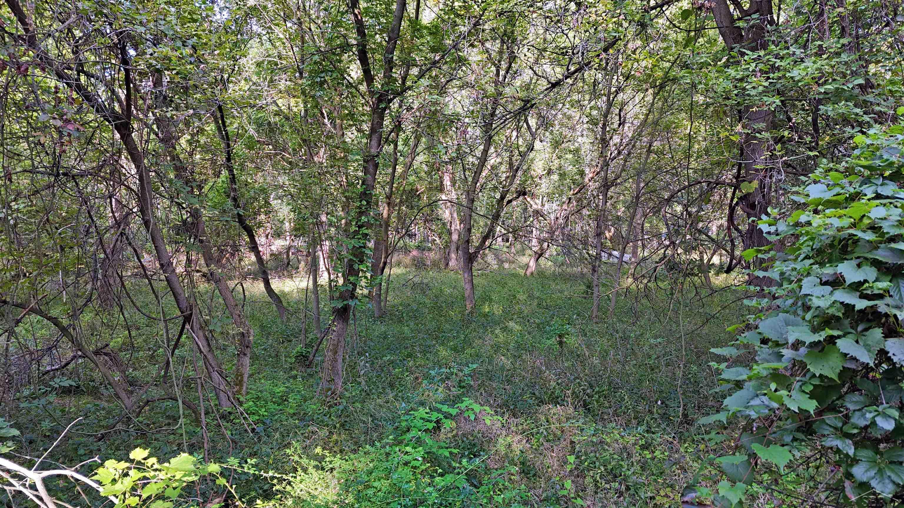 Baldwin Road Chesaning, MI 48616 - Photo 7 of 13