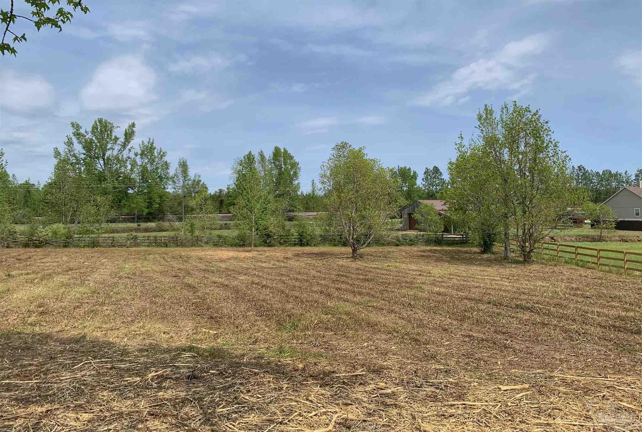 0 Maple Wood Drive Atmore, AL 36502 - Photo 2 of 8 a view of outdoor space and yard