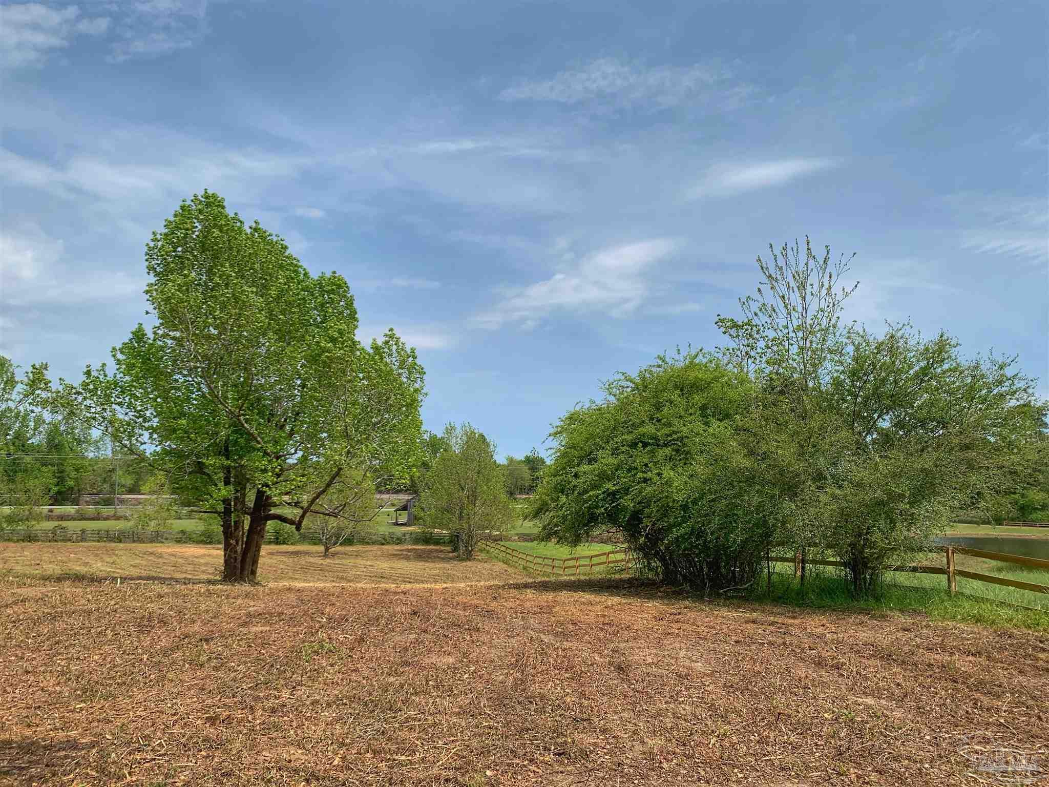 0 Maple Wood Drive Atmore, AL 36502 - Photo 5 of 8 a backyard of a house with lots of green space