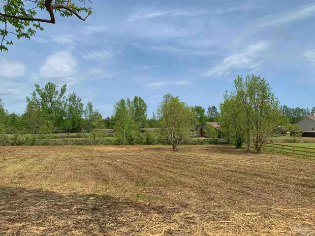 a view of a field with plants and a trees
