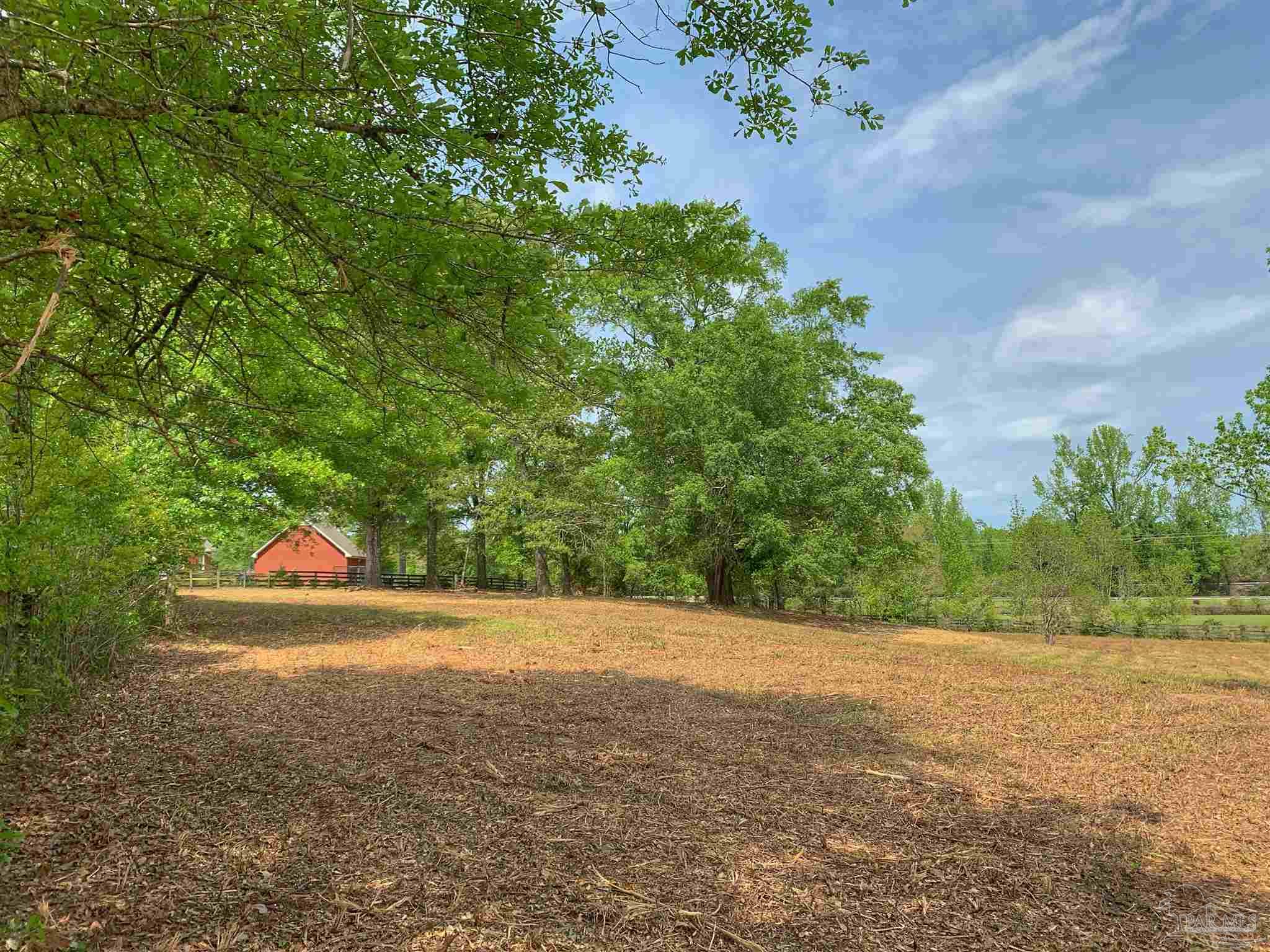 0 Maple Wood Drive Atmore, AL 36502 - Photo 7 of 8 a view of a field with plants and a trees