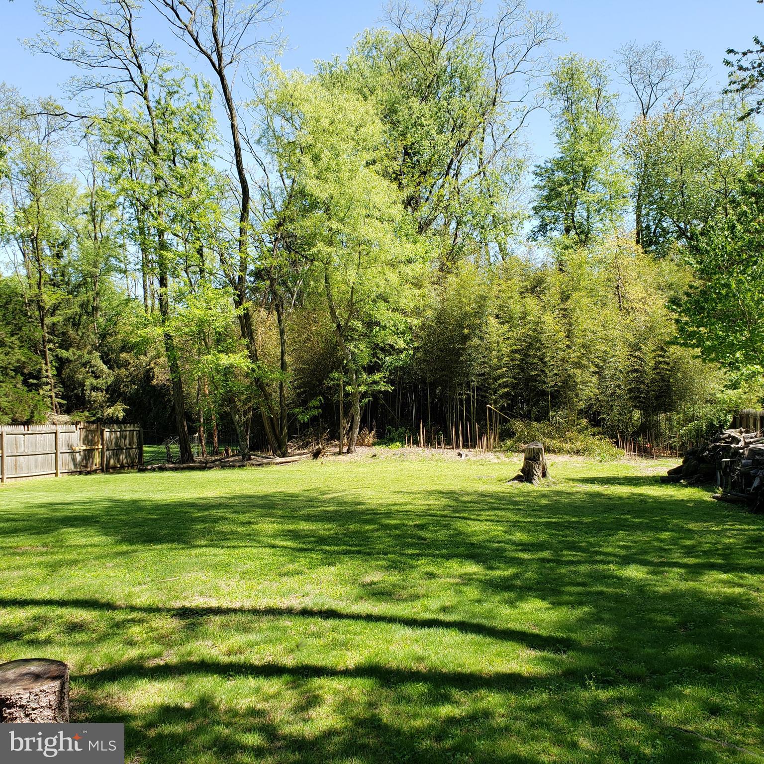 111 Washington Road Princeton, NJ 08540 - Photo 14 of 15