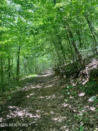 $225,000 | 3 River Ridge Road, Maynardville, TN 37807