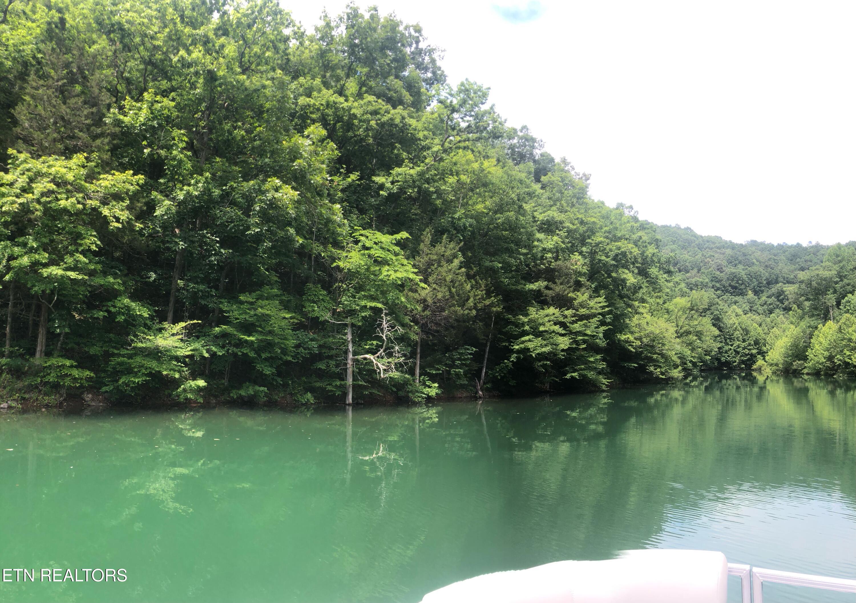 3 River Ridge Road Maynardville, TN 37807 - Photo 2 of 3 IMG_0309