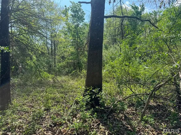 $89,900 | 0 Hwy 51 De Soto Il 62924, De Soto, IL 62924