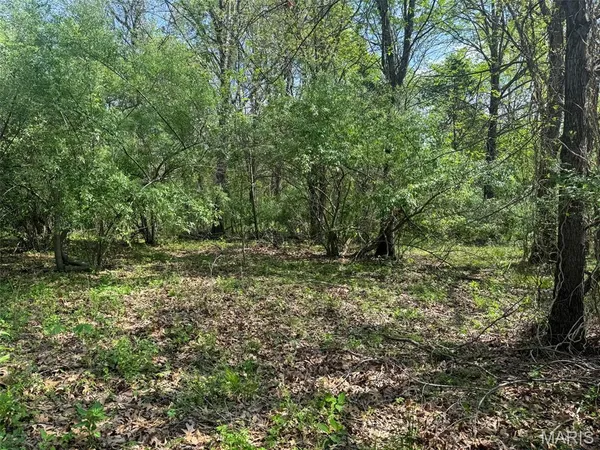 $89,900 | 0 Hwy 51 De Soto Il 62924, De Soto, IL 62924
