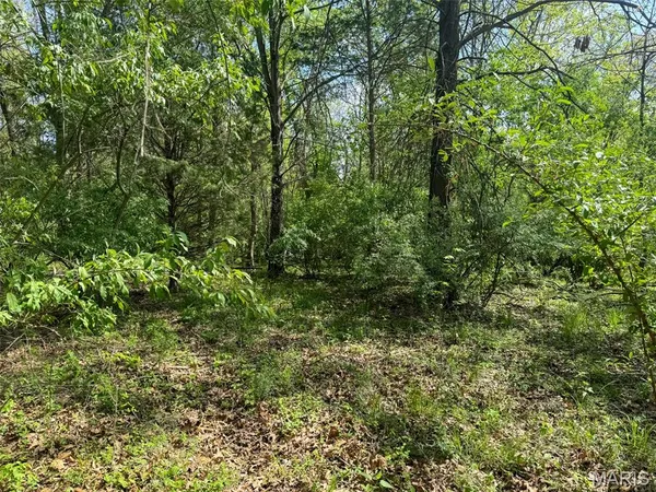 $89,900 | 0 Hwy 51 De Soto Il 62924, De Soto, IL 62924