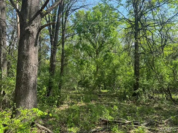 $89,900 | 0 Hwy 51 De Soto Il 62924, De Soto, IL 62924