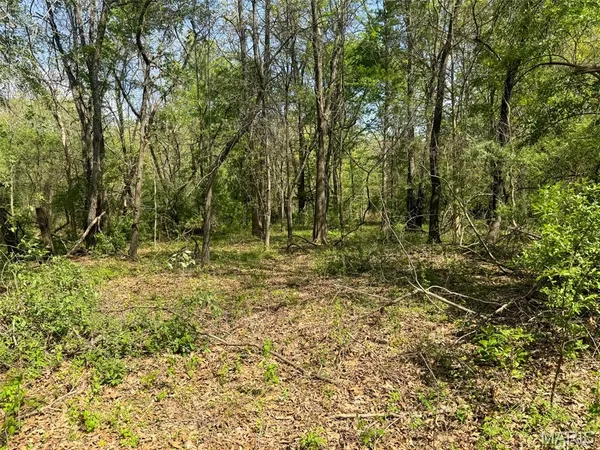 $89,900 | 0 Hwy 51 De Soto Il 62924, De Soto, IL 62924
