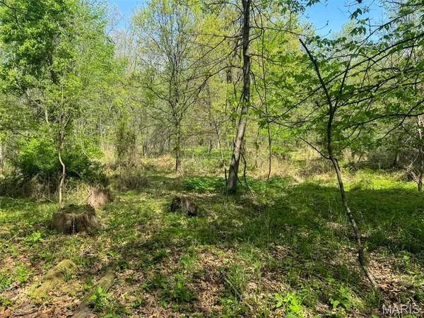 $89,900 | 0 Hwy 51 De Soto Il 62924, De Soto, IL 62924
