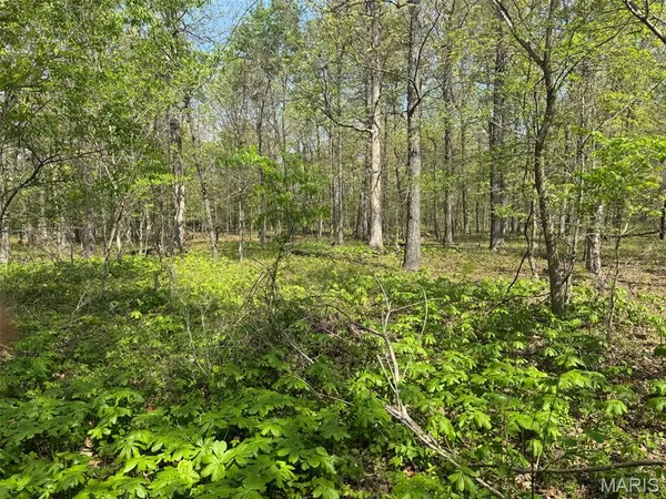 $89,900 | 0 Hwy 51 De Soto Il 62924, De Soto, IL 62924