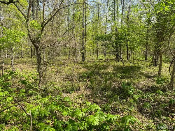 $89,900 | 0 Hwy 51 De Soto Il 62924, De Soto, IL 62924