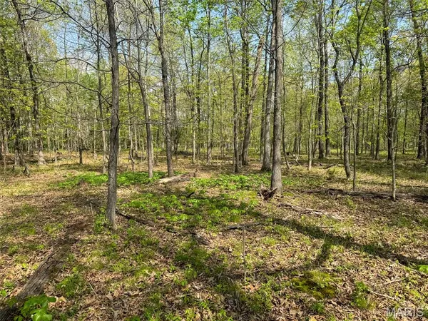 $89,900 | 0 Hwy 51 De Soto Il 62924, De Soto, IL 62924