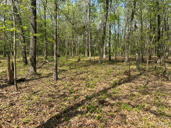 $89,900 | 0 Hwy 51 De Soto Il 62924, De Soto, IL 62924