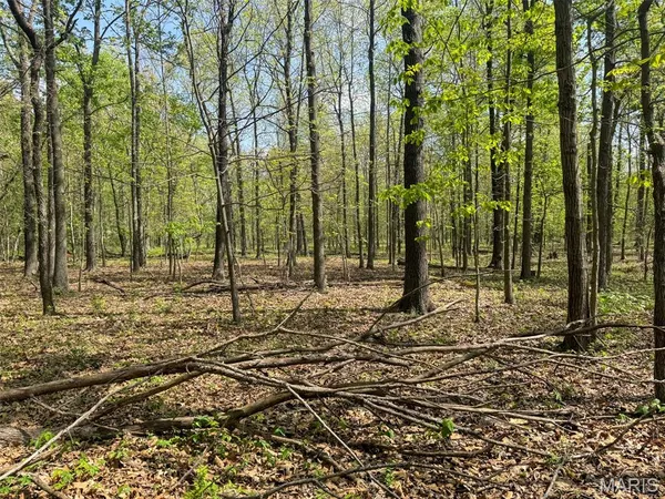 $89,900 | 0 Hwy 51 De Soto Il 62924, De Soto, IL 62924
