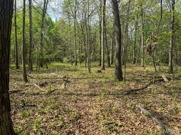 $89,900 | 0 Hwy 51 De Soto Il 62924, De Soto, IL 62924