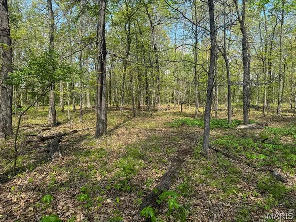 $89,900 | 0 Hwy 51 De Soto Il 62924, De Soto, IL 62924