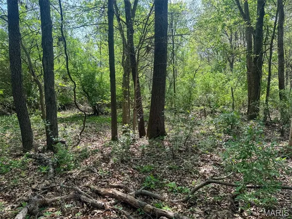 $89,900 | 0 Hwy 51 De Soto Il 62924, De Soto, IL 62924