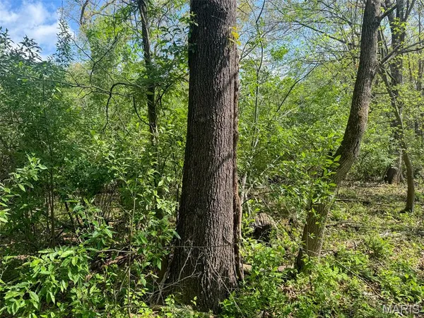 $89,900 | 0 Hwy 51 De Soto Il 62924, De Soto, IL 62924
