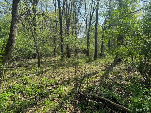 $89,900 | 0 Hwy 51 De Soto Il 62924, De Soto, IL 62924