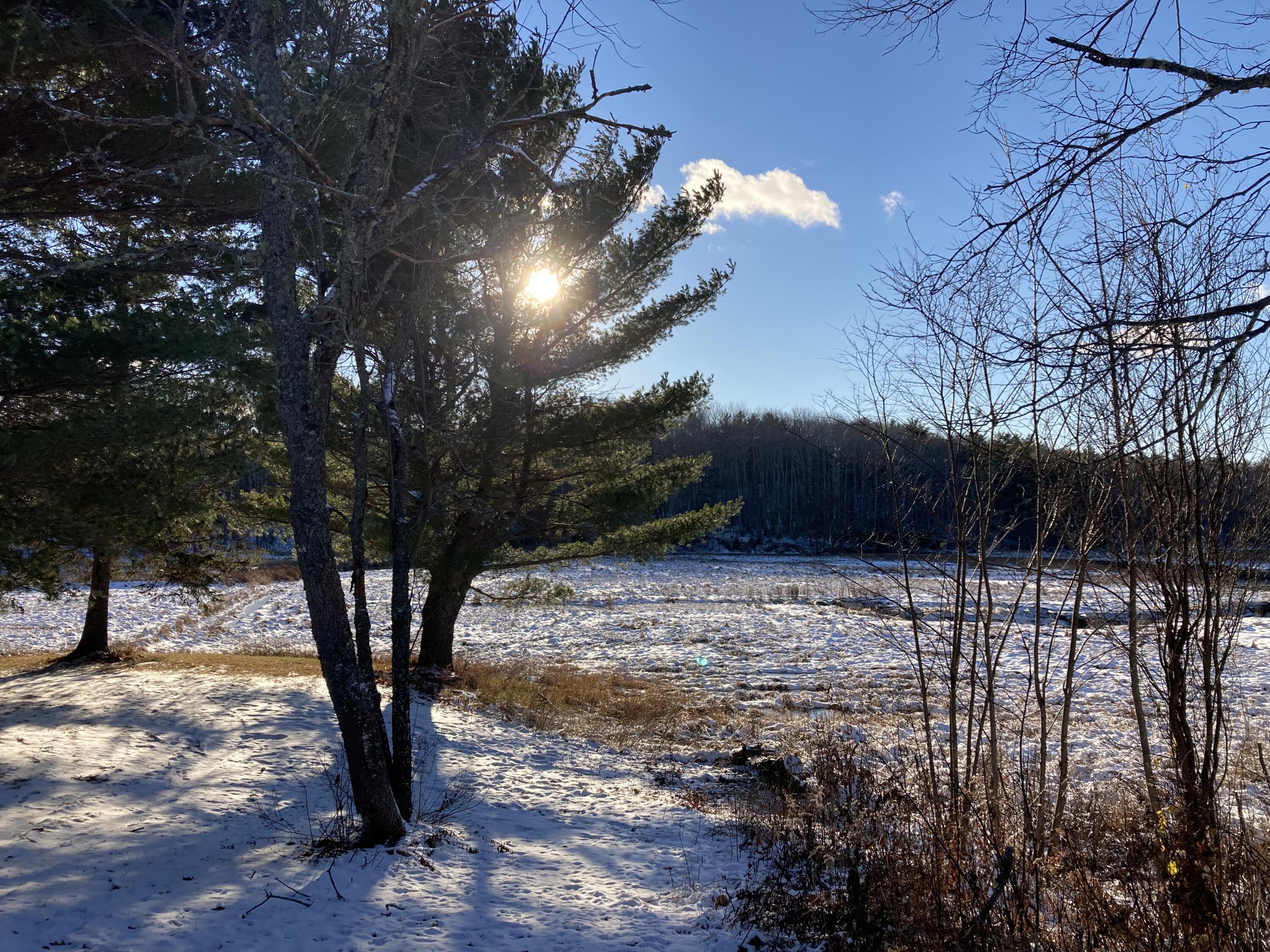 209 Hog Bay Road Franklin, ME 04634 - Photo 26 of 29 Westerly views.