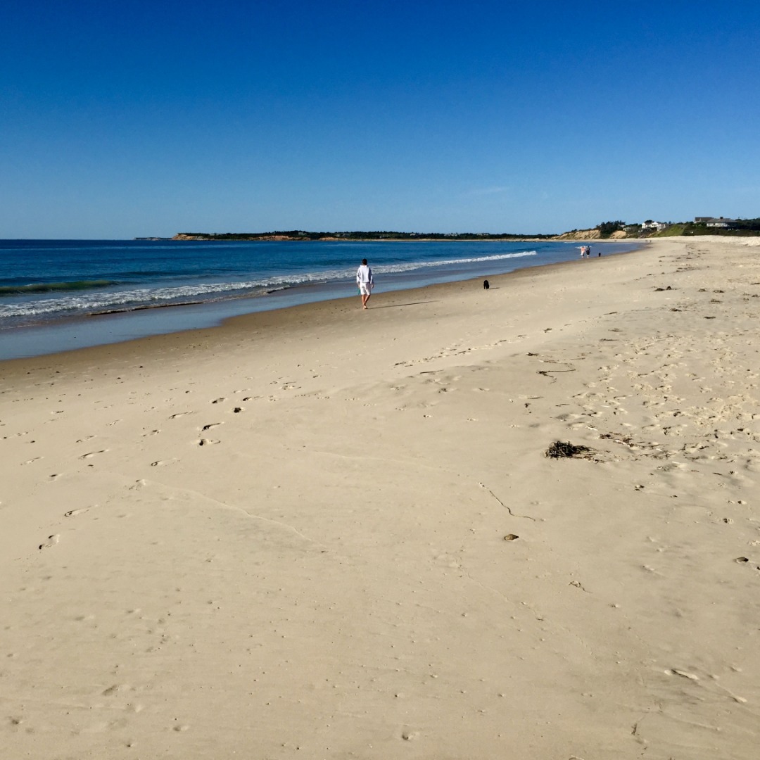 95 Stonewall Road Chilmark, MA 02535 - Photo 46 of 51 a view of a beach