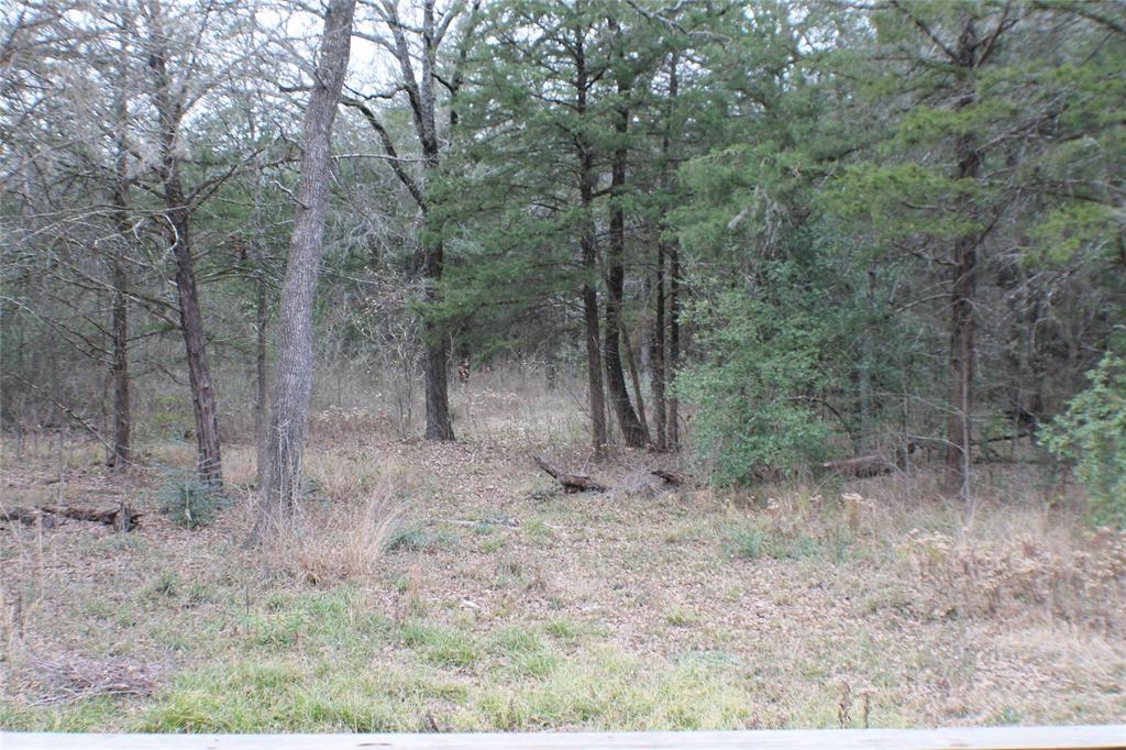 9603 County Road 2138 Kemp, TX 75143 - Photo 32 of 36 a view of a forest with trees in the background