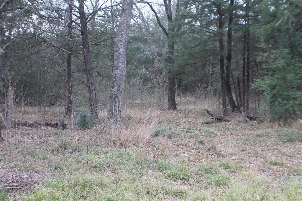 9603 County Road 2138 Kemp, TX 75143 - Photo 34 of 36 a view of a forest with trees in the background