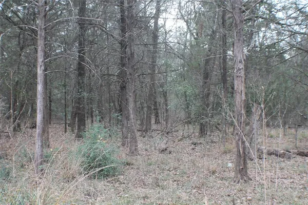 $399,000 | 9603 County Road 2138, Kemp, TX 75143