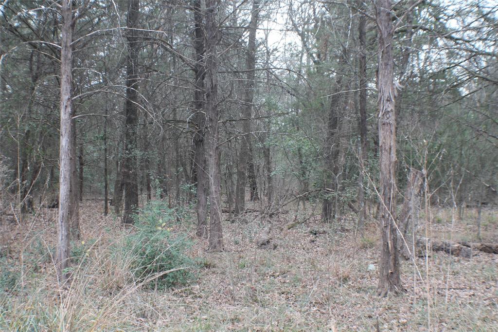 9603 County Road 2138 Kemp, TX 75143 - Photo 36 of 36 a view of a dry yard with trees in the background
