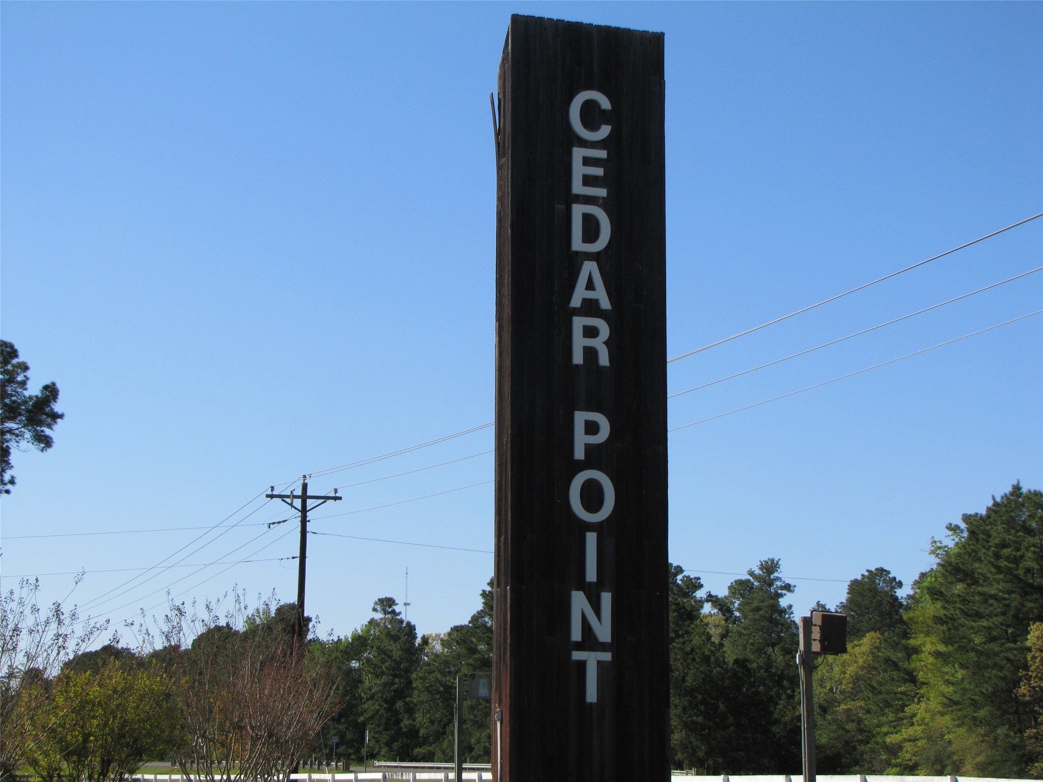 361 Noel Livingston, TX 77351 - Photo 22 of 23