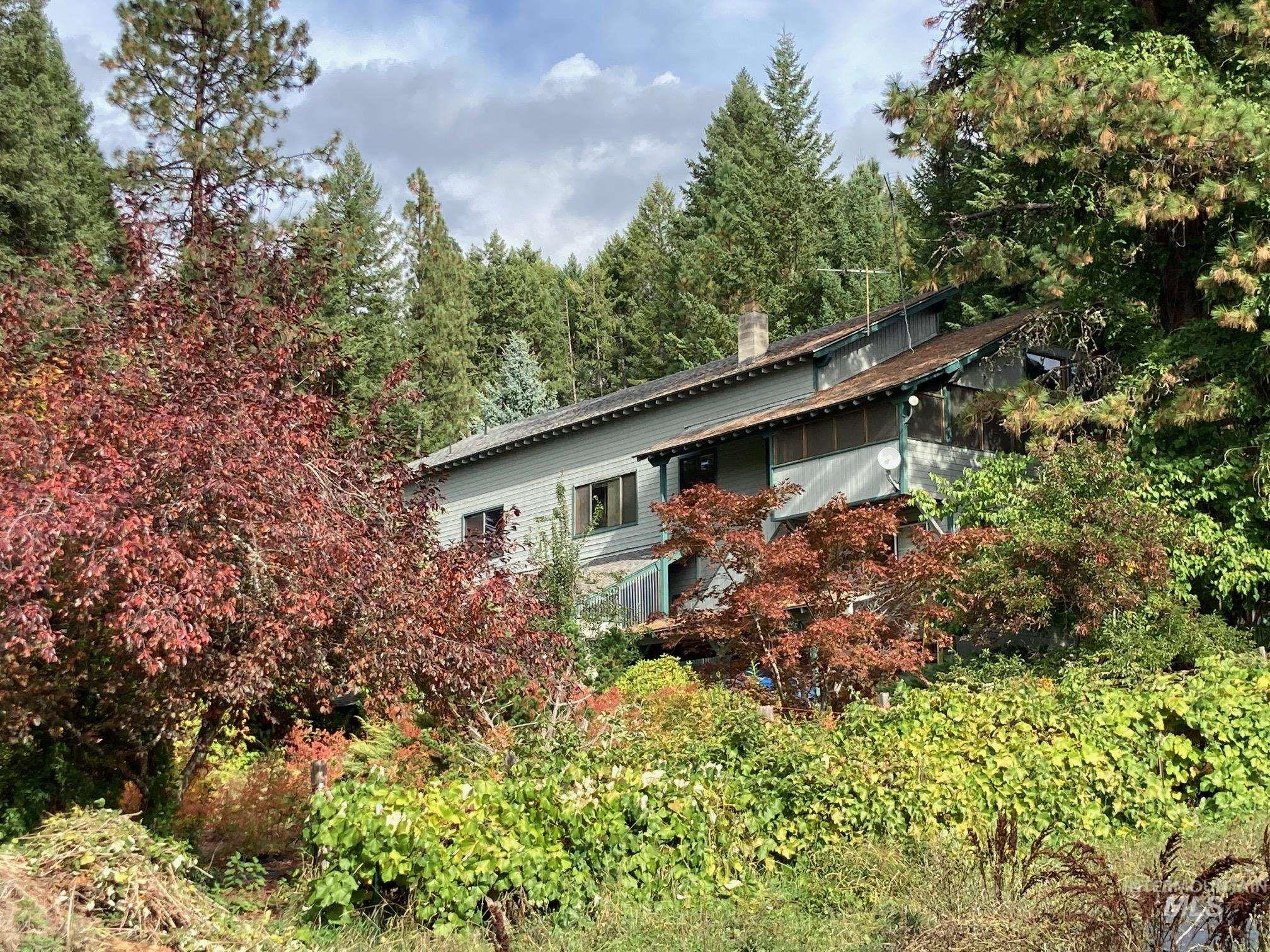 266 Falcon Ridge Road Kooskia, ID 83539 - Photo 2 of 50 Property exterior featuring light green siding and a dark roofline with surrounding gardens