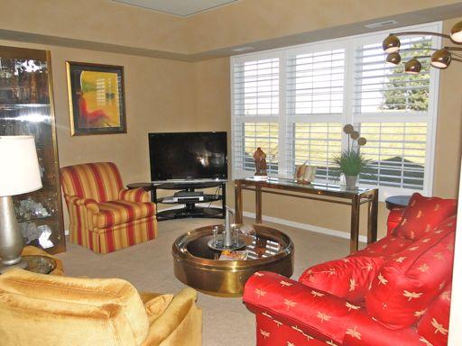 13384 Delaney Road Huntley, IL 60142 - Photo 7 of 16 a living room with furniture and a flat screen tv