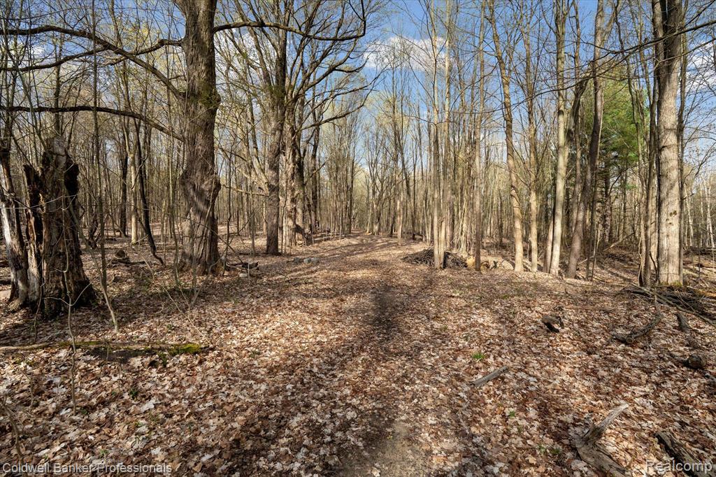 0 Conley Road Attica, MI 48412 - Photo 26 of 48 Gallery Image 26
