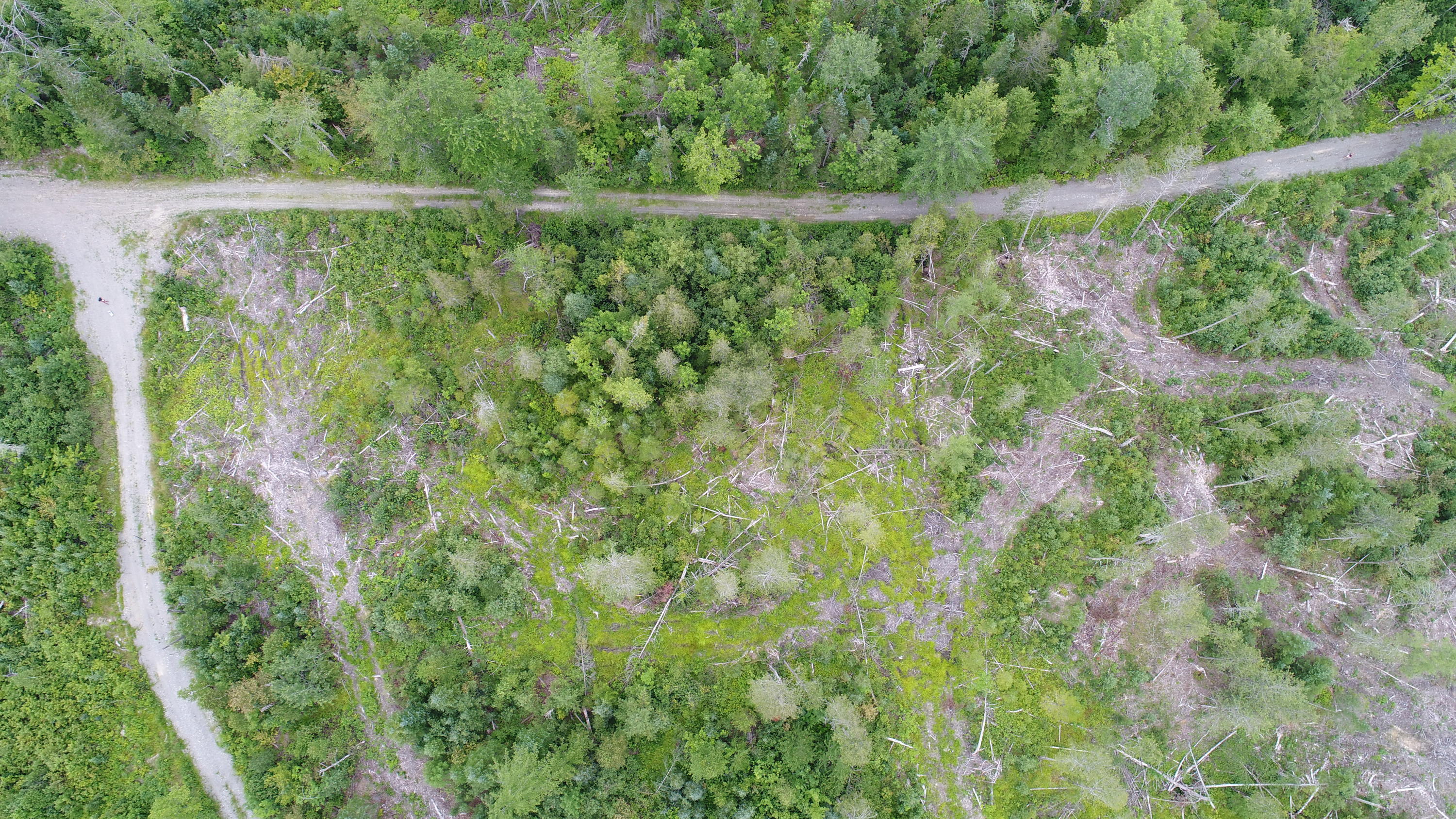 Tbd McCarty Road Solon, ME 04979 - Photo 14 of 17 DJI_0117