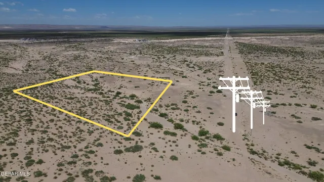 a view of a dry yard