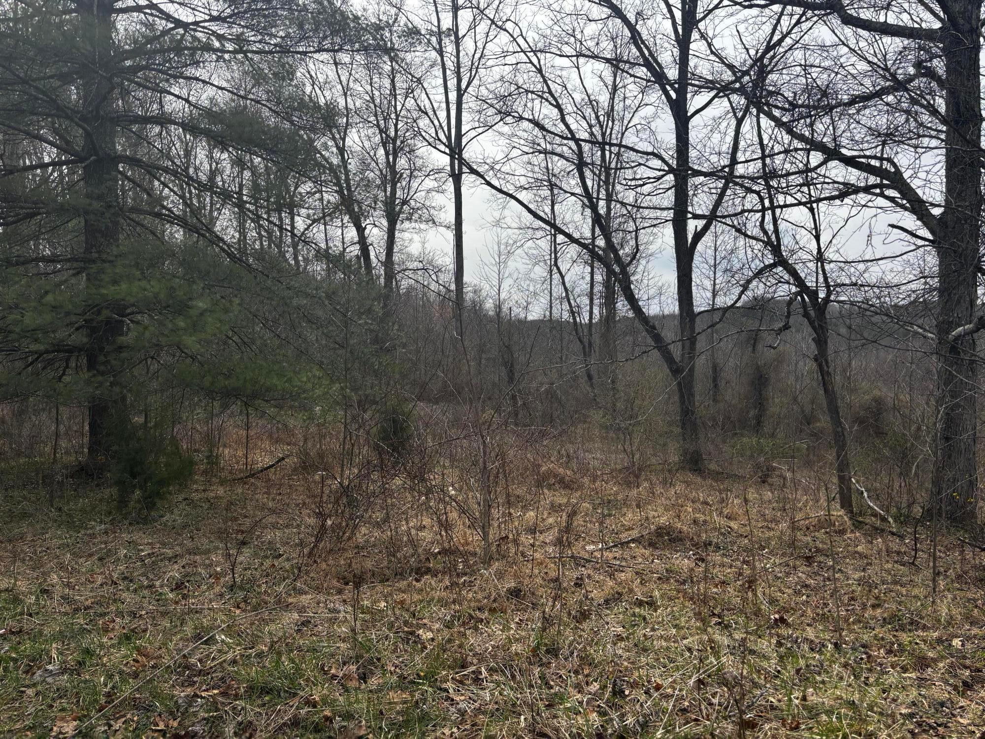 799 Woodruff Road Vinton, OH 45686 - Photo 8 of 8 IMG_2218