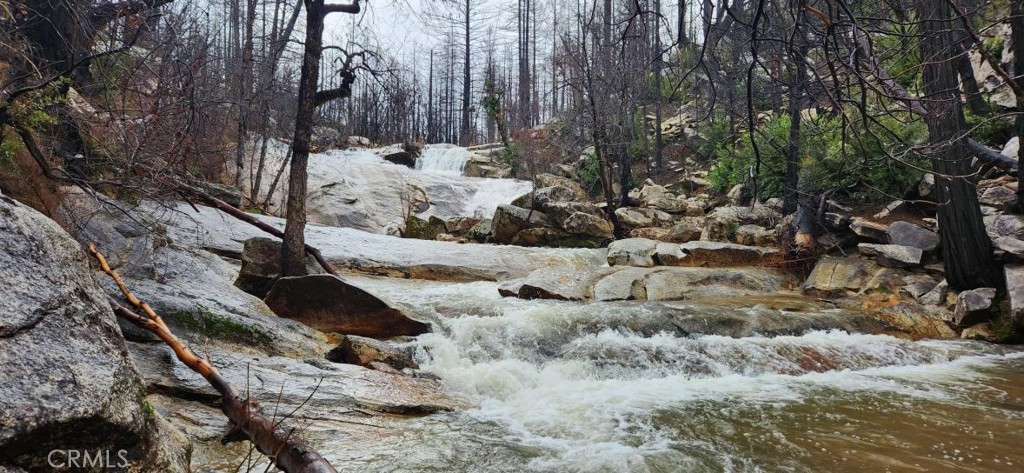 182 Gamble Road Berry Creek, CA 95916 - Photo 1 of 14 a view of a yard with trees