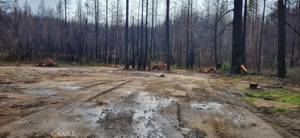 182 Gamble Road Berry Creek, CA 95916 - Photo 11 of 14 a view of wooden fence