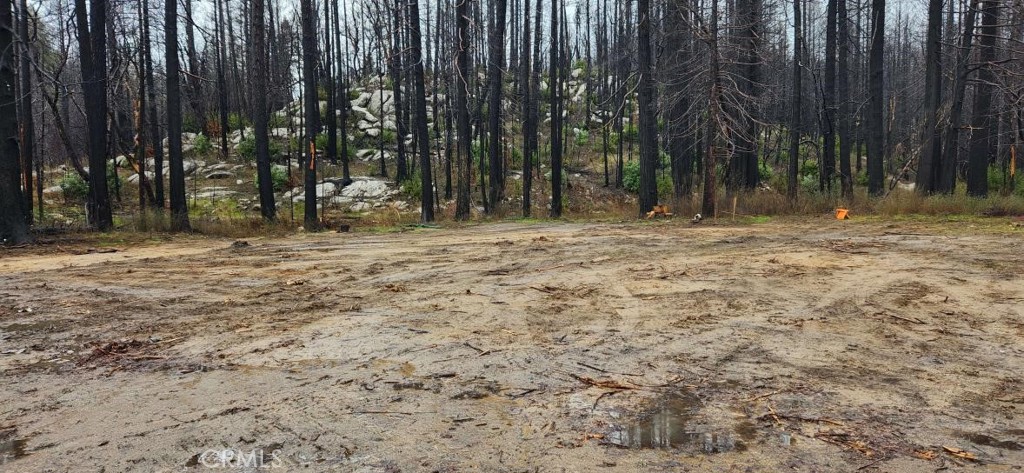 182 Gamble Road Berry Creek, CA 95916 - Photo 12 of 14 a view of a backyard with trees