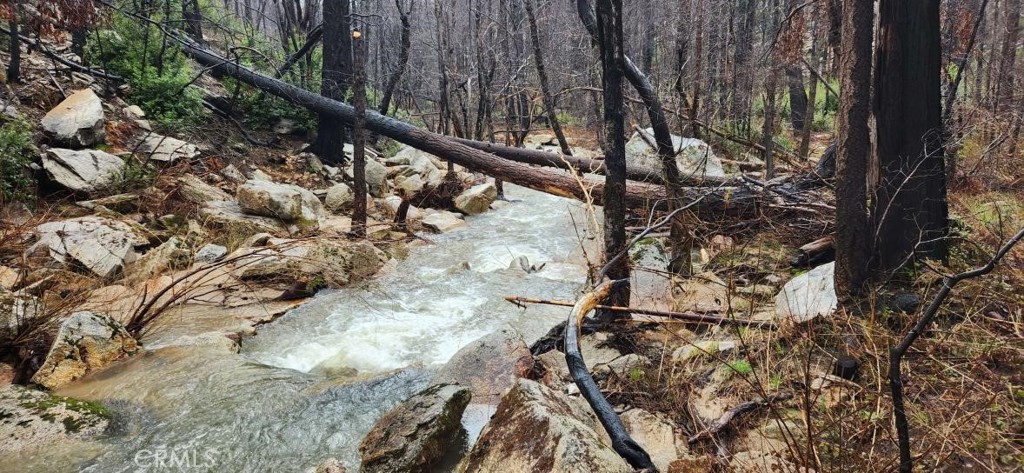 182 Gamble Road Berry Creek, CA 95916 - Photo 2 of 14