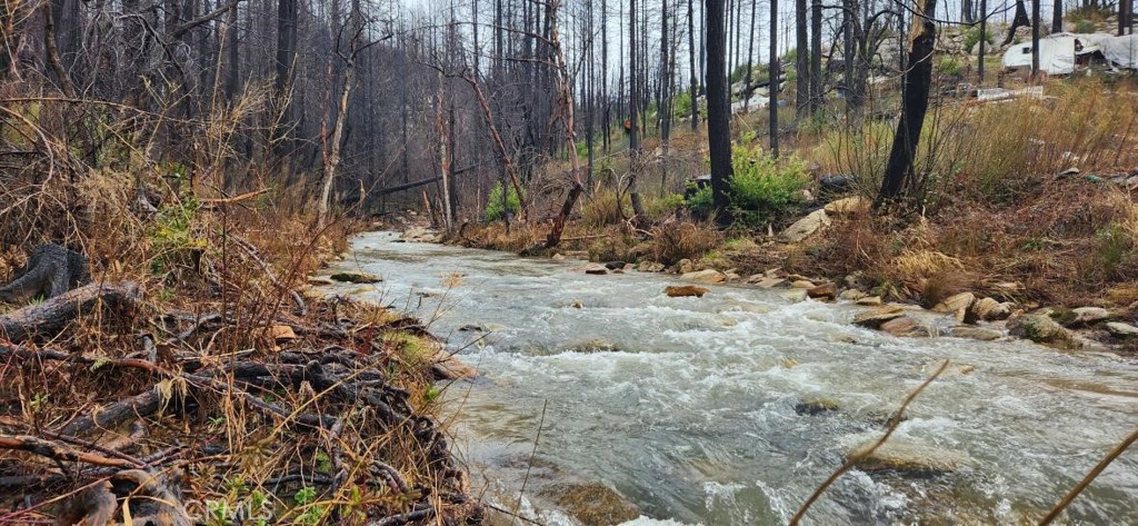 182 Gamble Road Berry Creek, CA 95916 - Photo 4 of 14 a view of a backyard with plants and trees