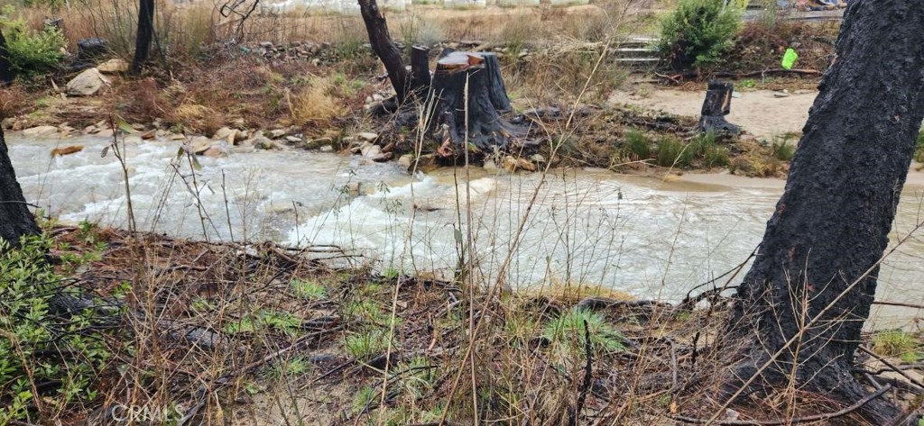 182 Gamble Road Berry Creek, CA 95916 - Photo 5 of 14 a picture of trees